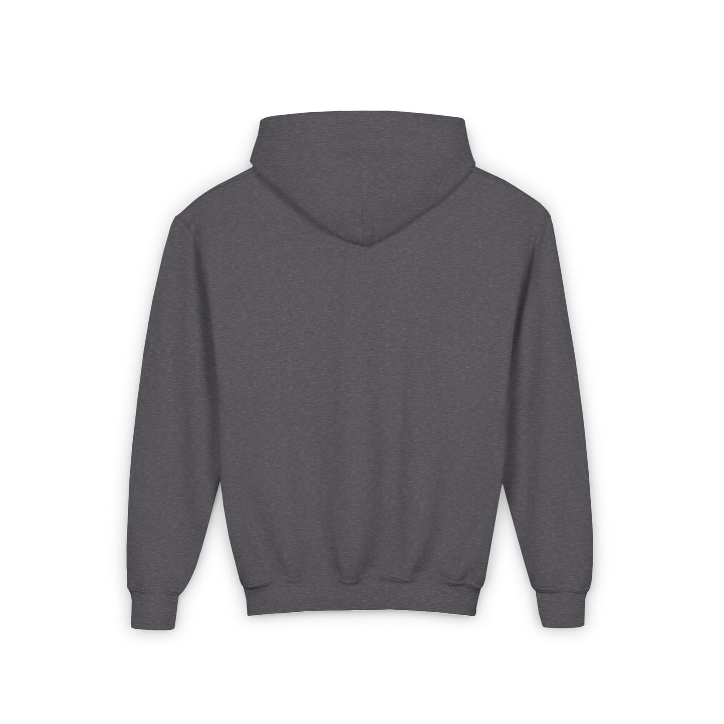 Youth Hoodie, B Logo