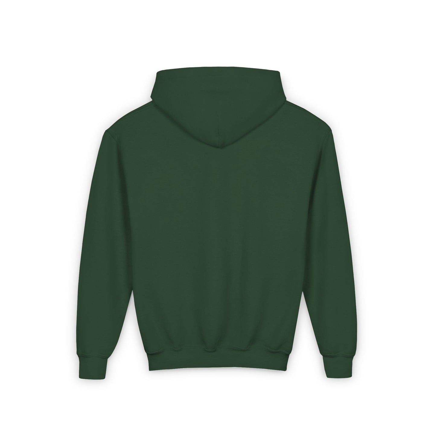 Youth Hoodie, B Logo